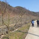 장창수농장 이미지