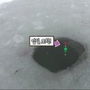 굿아이스 이미지