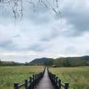 비봉인공습지 이미지