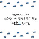 봉선시장족발 이미지