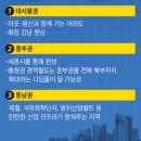 강남-228 이미지