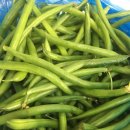 곡성-056 네이버블로그