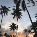 하와이새우트럭 이미지