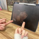 노세노세 이미지