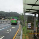 구룡달전로 Daum카페