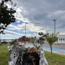 GS25 동해일출로점 이미지