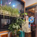 풀하우스참치 이미지