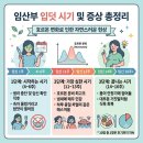 아이비중기 | 임산부 입덧 시기부터 임산부 입덧 음식과 증상