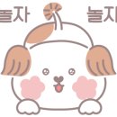 미미룸