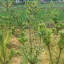 한길농원 이미지