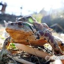 두꺼비공인중개사사무소 이미지