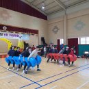 도초초등학교 이미지