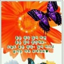 좋은생각 이미지