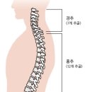 주엘 필라테스 티스토리