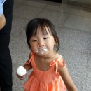 마망 엘리펀트 이미지