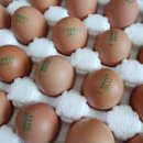 산옥농장 이미지