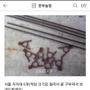 은우농장 이미지