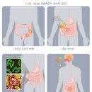 장 이미지