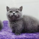 남구-037 이미지