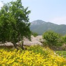 순천집 독채펜션 이미지