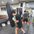 세계 복싱 체육관 네이버블로그
