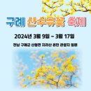 구례군 산동면서 제25회 구례산수유꽃축제(3월9~17일 온천관광지 일원, 공연 등 29개 종목 프로그램) 이미지