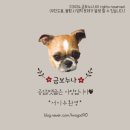 별망시래기 이미지