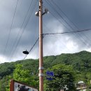 의신민박 이미지