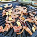 가야산생오리 이미지