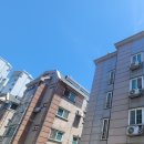 작전동전문음식점 | 바퀴벌레없애는법 원룸 일본바퀴벌레 퇴치 방역업체 후기