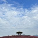 신소양체육공원화장실(주차장) 이미지