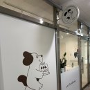 몽고메 | 인천 강아지 수제간식 전문점 몽고메 수제간식 포장 후기