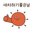 청년손세차