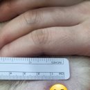 퍼피즌동물병원 이미지