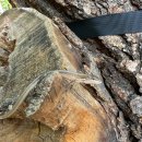 과학마을로 | 세르파파 숲체험 후기｜과학실험부터 점심까지, 세심한 돌봄에 감동한 하루