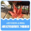 새터근린공원 이미지