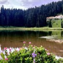 Tipsoo Lake, Washington 이미지