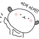 신생꽃농원 이미지