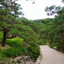 소나무정원 이미지