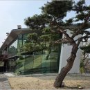 파스타 카페 네이버블로그