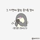 파란나라 이미지
