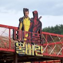 양양컴퍼니