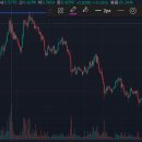 현트레이딩 이미지