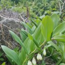 동은농장 이미지