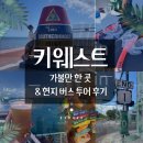 🍋마이애미 출발 키웨스트(Key west) 스노클링 현지버스투어 | 키웨스트 당일치기 여행 가볼만한 곳