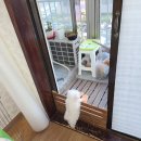 뉴페이스PC방 이미지