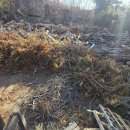 강릉청소용역 이미지