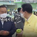 돼야지 이미지