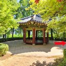 신길초등학교 정문 앞 이미지