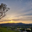 (주)금잔디조경